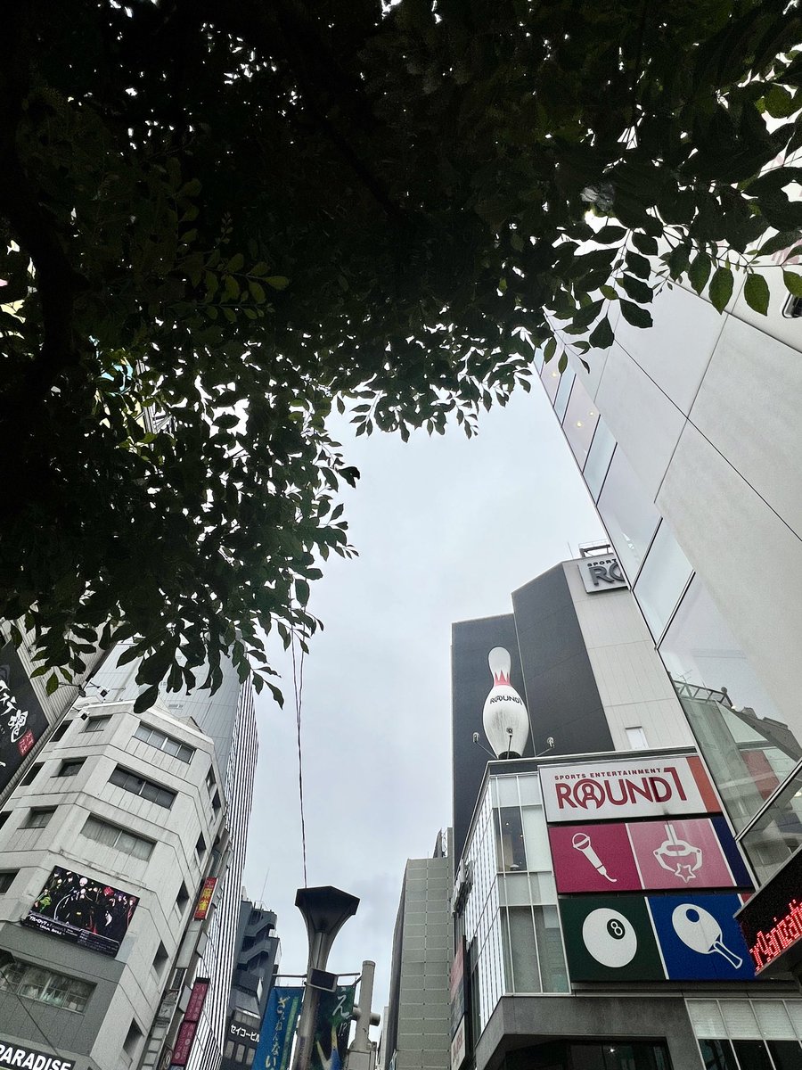 Radimo_info's tweet photo. 東京は雨風がおさまってきましたが、
河川の氾濫、土砂崩れなどの危険があります⚠️くれぐれもご注意を。
台風接近中の地域の皆様、
何事もなく通過していくことを祈っております。

#企業公式が地元の天気を言い合う 
#企業公式がお疲れ様を言い合う 
#イマソラ 
#radimo 
https://t.co/rmfMHBARlh https://t.co/gaPnspR222