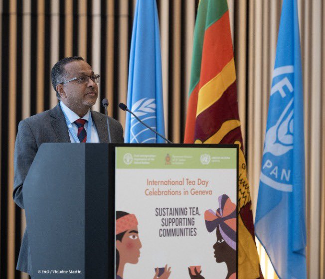 SLUNGeneva's tweet photo. The Permanent Mission of Sri Lanka in #Geneva, in collaboration with @FAOGeneva jointly celebrated the #International #Tea #Day 2026 @UNGeneva under the global theme, “Sustaining Tea, Supporting Communities” on 29 May 2026. ➡️ https://t.co/a5ZYz7A6rK https://t.co/GEZCUpZ1CO