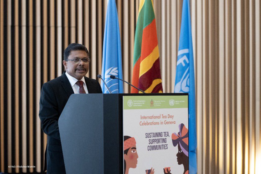SLUNGeneva's tweet photo. The Permanent Mission of Sri Lanka in #Geneva, in collaboration with @FAOGeneva jointly celebrated the #International #Tea #Day 2026 @UNGeneva under the global theme, “Sustaining Tea, Supporting Communities” on 29 May 2026. ➡️ https://t.co/a5ZYz7A6rK https://t.co/GEZCUpZ1CO