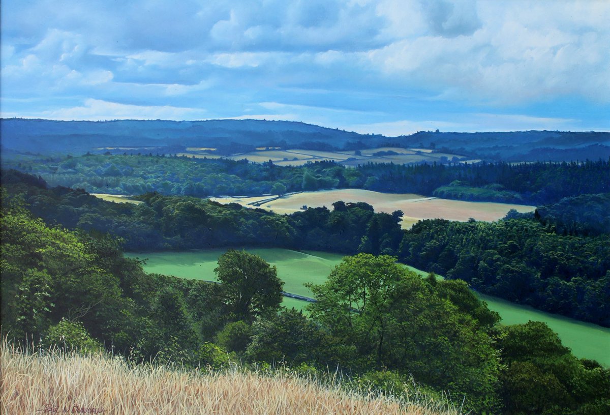 PNDfineart's tweet photo. Bring the serenity of the countryside indoors. ✨🌾"Albury Downs Nature Reserve" features rich oil textures and a misty blue horizon to bring peace to your living space.📐 14x20"  Oil on panel🔗 Secure it: https://t.co/ZDf9EBK26X  #art #Nature #artistsoftwitter https://t.co/C0AyHhFoJa