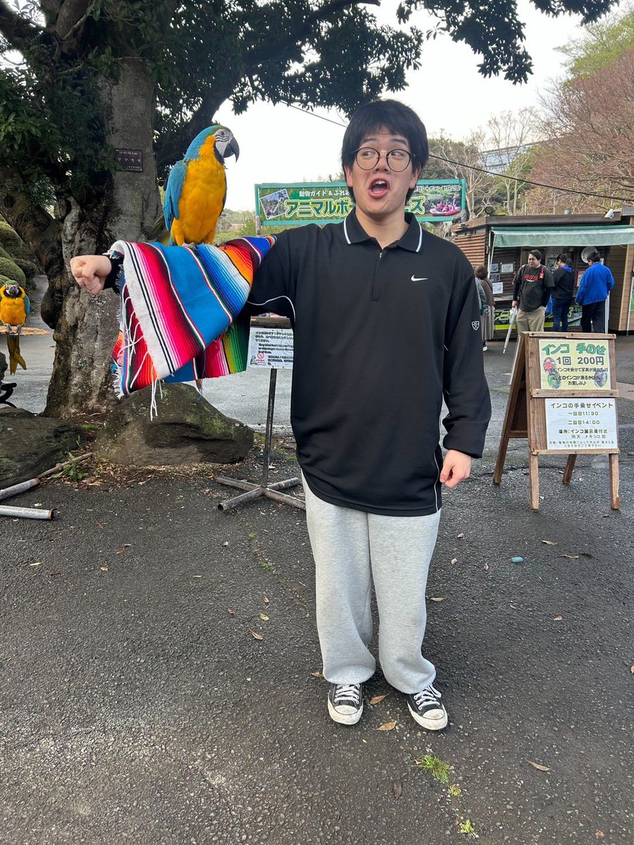 battlenatiogour's tweet photo. 🌏演者紹介🌏

①ガシャ髑髏
②青山学院大学ナショグルお笑い愛好会
③絶対勝つぞ（ｾﾞｯﾀｲｶﾂｿﾞ）

チケットはこちらから🎫🔽
https://t.co/ionrlxJtXv https://t.co/DgkXryX4pp