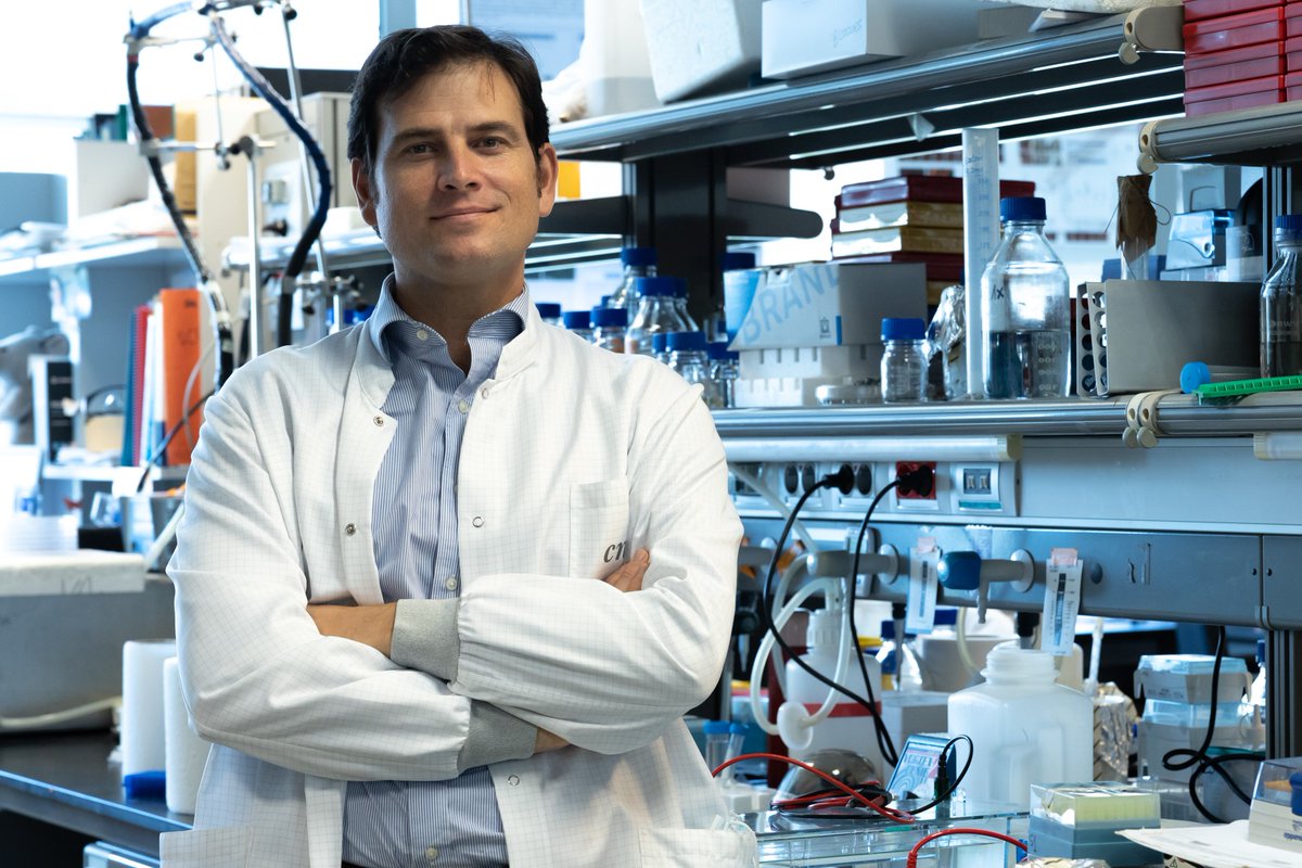 CNIC_CARDIO's tweet photo. ⚡🏅  El Dr. Borja Ibáñez @borjaibanez1, director científico del @CNIC_CARDIO, recibe el Premio Rei Jaume I de Investigación Clínica y Salud Pública 2026. @PremiosReiJaume 

El jurado premia al Dr. Ibáñez, cardiólogo en @Hospital_FJD y jefe de grupo en el @CIBER_ISCIII de #EnfermedadesCardiovasculares por sus contribuciones a la mejora del cuidado clínico de los pacientes con #EnfermedadesCardíacas.

📰 Noticia completa: https://t.co/MRHa2fsSNk

¡Enhorabuena! 🙌

#CNIC #InvestigacionCardiovascular #Premios #SaludCardiovascular #ciencia