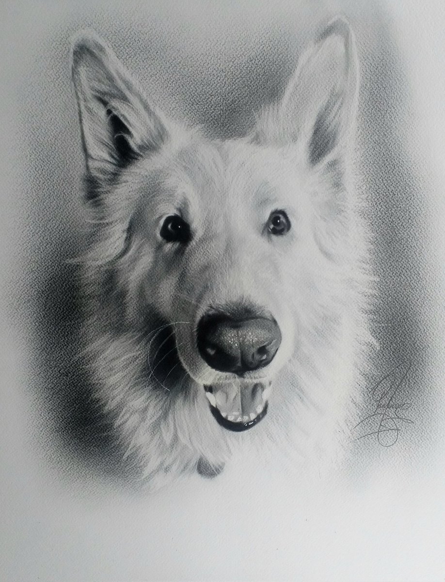 PNDfineart's tweet photo. Turn your favorite photo of your furry best friend into a beautiful piece of fine art. 🎨🐾Pet portrait commissions are officially OPEN! The perfect custom keepsake or heartfelt gift for a fellow pet lover.✨ slots available🛒  https://t.co/ZDf9EBK26X #PetPortrait #CustomArt https://t.co/lE3XgKf2uR