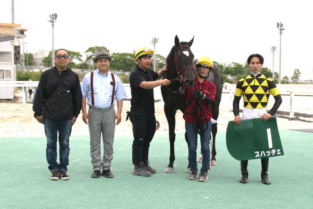 dokeiba's tweet photo. 【今日の #フレッシュチャレンジ】
門別6R(1,000ｍ)は①#スハッチェ（牝＝川島洋人厩舎、父タニノフランケル、鳥井牧場＝新ひだか町生産）が快勝。
昨年の北海道セプテンバーセール取引馬(165.0万円)。
おじに新潟ジャンプSを制したインプレスがいます。
#ホッカイドウ競馬
#門別競馬場
#モンスターズ https://t.co/pXfVlBu43p