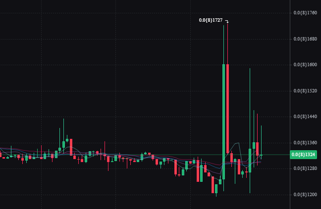Digital__Mario's tweet photo. I see some increased activity on $VINU

Could this be the bottom ? https://t.co/kyRTNUabVb