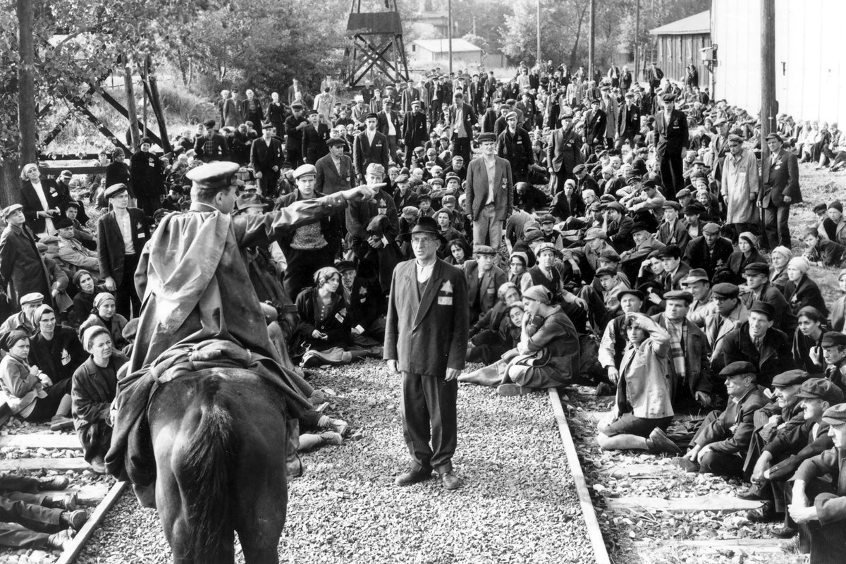 jessisajew's tweet photo. No, babe, what you showed is what a war looks like. 

These images here are what the only holocaust looks like: https://t.co/CClHZMVVix