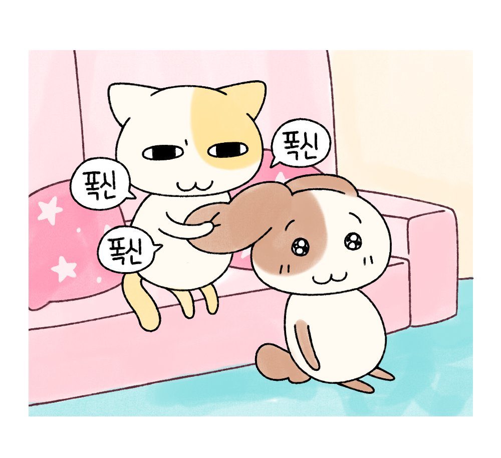 asifmadness's tweet photo. 얘네 진짜 ㅌㅅ같어 https://t.co/ETC1Xd7wH0