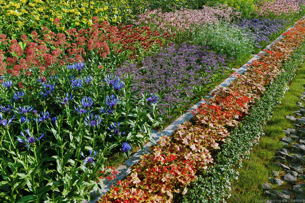 maxtree_cgi's tweet photo. Plant Models Vol 170 can be purchased individually-Flowers.
https://t.co/2pL9xicXCA
#PerennialPlants #GardenDesign #FlowerBorder #LandscapingPlants #HerbGarden #WildflowerGarden #OrnamentalPlants #CoastalGardening #CutFlowers #PollinatorPlants #maxtree https://t.co/acNRpmwBxQ