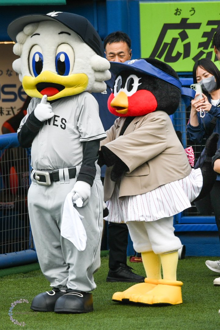後ろからそっと忍び寄るつばみ……恐る恐る振り返るマーくん……😂 #260603