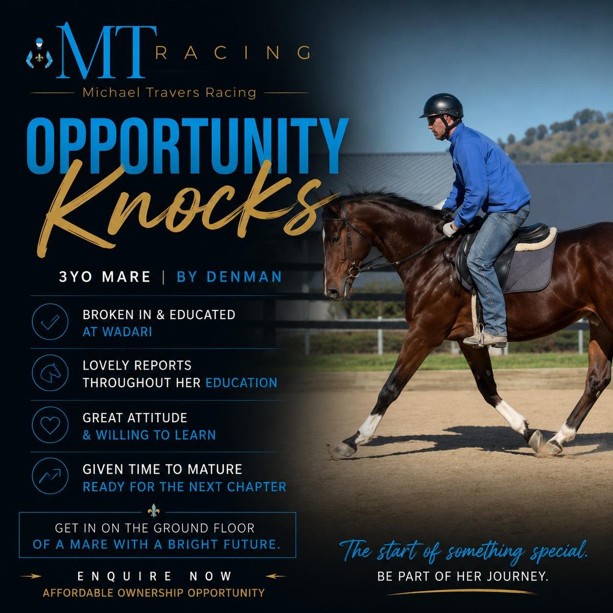 TraversRacing's tweet photo. Opportunity Knocks with this Denman 3YO Mare.

✔ Broken in &amp; educated at Wadari
✔ Positive reports throughout her preparation
✔ Given time to mature &amp; develop
✔ Ready for the next stage of her racing journey
Affordable ownership opportunity 👇 michael.travers@prismracing.com https://t.co/GPCcn2qeOb