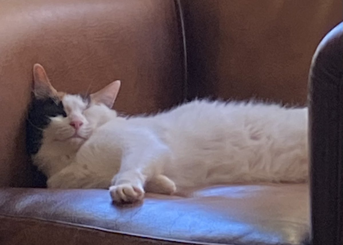 for_fi's tweet photo. Frannie says, “How kind!” https://t.co/wtSPa3Bkqd