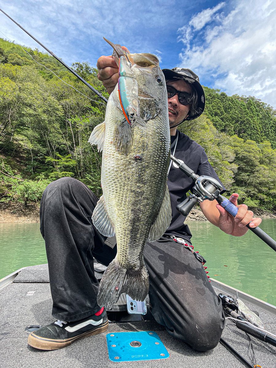 BassKyon's tweet photo. 台風パワーやけど、やり過ぎた🔥

タイニークラッシ��56㌢　2785g
クラッシュ9 51㌢　2130g
タイニークラッシュ　52㌢　2460g
タイニークラッシュ　47㌢　1810g

その他タイニークラッシュで40アップ5〜6本🙌 https://t.co/rTWvkAllcl