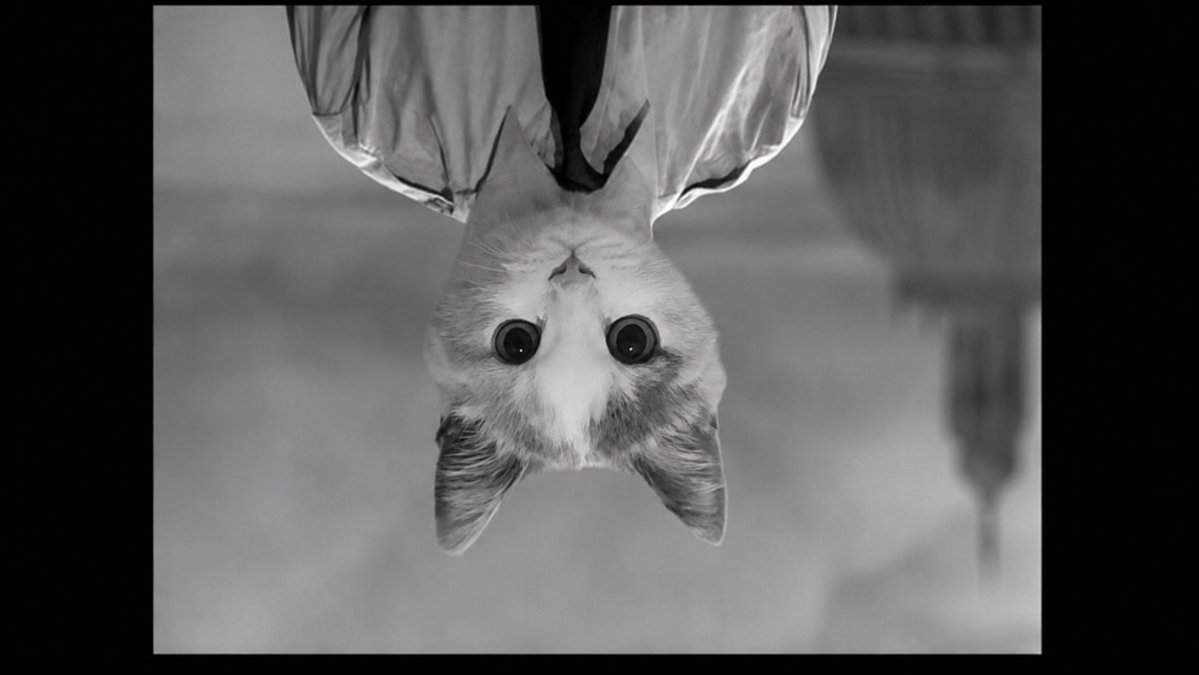 upsidedowncabal's tweet photo. just listen to it upside down... 

https://t.co/DlmNJIlaO8 https://t.co/zwx7whMyrr