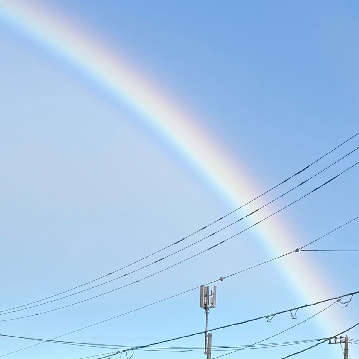 Post by かおり🇫🇷 on X: 🌈