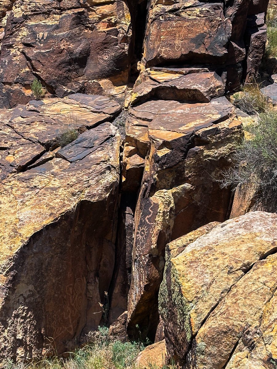 prairieguy2016's tweet photo. Wondering Wednesday! The history of this place, our history, carved into rock 1,000’s of years ago. Exposed to the elements &amp; time is slowly being erased. Like time always does. 
https://t.co/Fs03XmaudB #photography #nature #petroglyphs #utah #desert #wandering #desertsolitaire https://t.co/mWW0sNk5oI