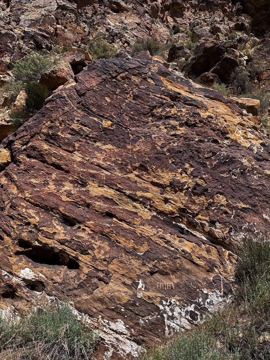 prairieguy2016's tweet photo. Wondering Wednesday! The history of this place, our history, carved into rock 1,000’s of years ago. Exposed to the elements &amp; time is slowly being erased. Like time always does. 
https://t.co/Fs03XmaudB #photography #nature #petroglyphs #utah #desert #wandering #desertsolitaire https://t.co/mWW0sNk5oI