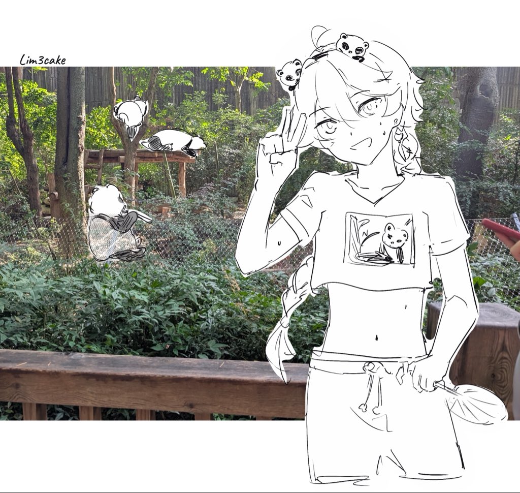 lim3cake's tweet photo. Panda park Aether https://t.co/X2yPUuLFOo