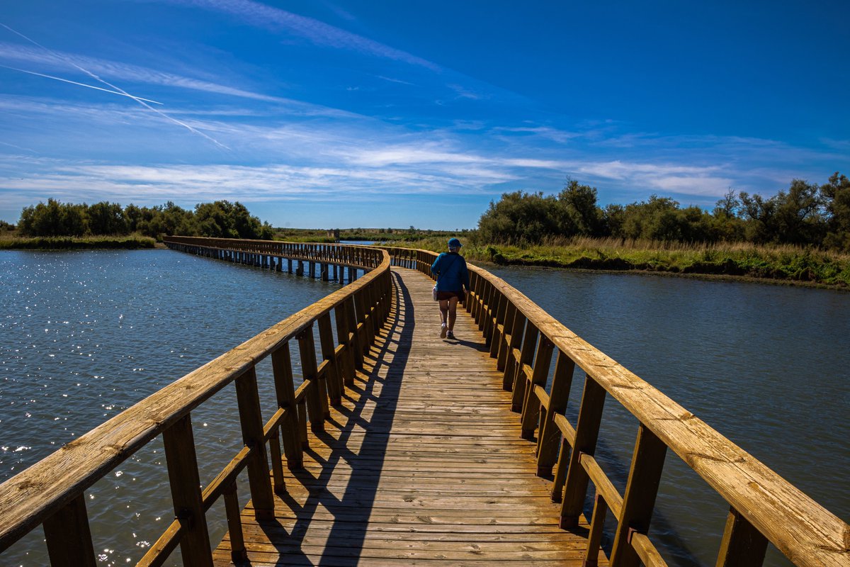 SpainInBeLux's tweet photo. Castile-La Mancha offers a family summer among lagoons, rivers, and protected landscapes where fresh water takes center stage 💦 National parks, wetlands, and lagoons allow you to combine swimming, nature, and outdoor activities in peaceful and authentic settings

🎯 Get inspired by the family-tourism alternatives Castilla-La Mancha has to offer: https://t.co/NKQpTrftCk

#VisitSpain #ThinkYouKnowSpain #HolidaysInSpain

#SpainFamilyTrip #SpainWayOfLife