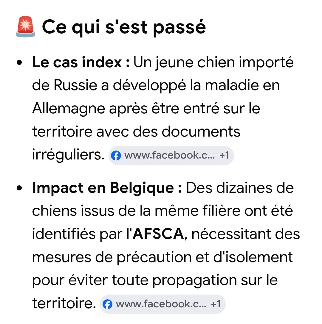 Doc_Natacha's tweet photo. La rage sévit encore en Afrique du Nord, mais en février un chiot importé illégalement de Russie était à l'origine d'un foyer en Allemagne. Si vous souhaitez adopter un chien à l'étranger, assurez-vous que tout a été bien fait, ce qui demande parfois un délai conséquent! ⏳️ 3/3 https://t.co/z29lsPAPD8
