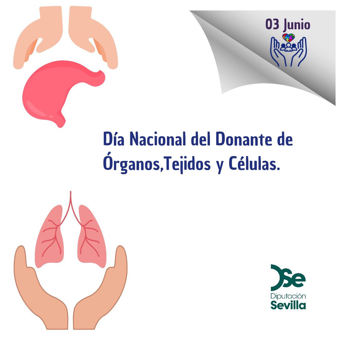 Autismopbladcaz's tweet photo. Hoy, 3 de junio, celebramos el Día Nacional del Donante de Órganos, Tejidos y Células.
✨ Dale un LIKE a la VIDA. Dona órganos, regala futuros.
Cada donación puede ofrecer nuevas oportunidades, esperanza y calidad de vida a muchas personas.
#DND2026 #DaleLikeaLaVida https://t.co/VmQ7VZM7et