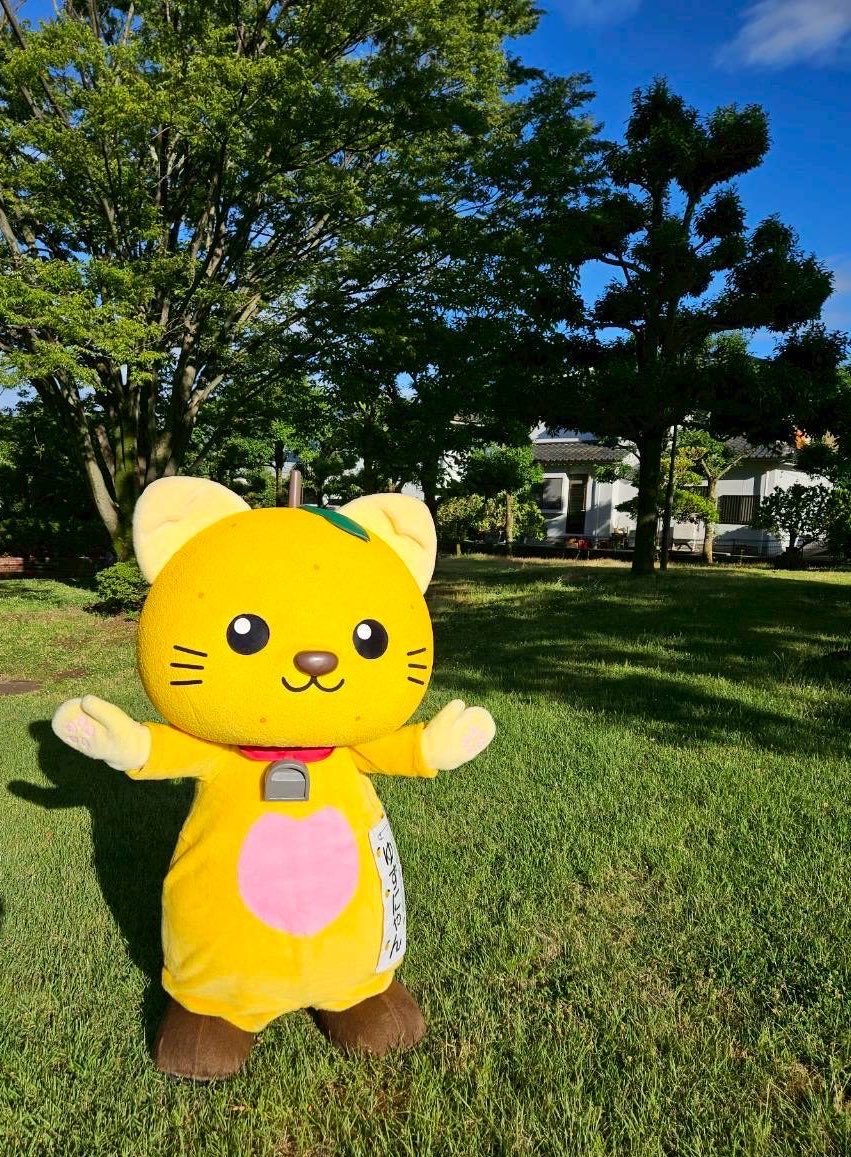 yuzunyan383838's tweet photo. にゃー！

晴れたにゃ☀️

#ゆずにち
#富士川町 https://t.co/ZGdrYQtkdy