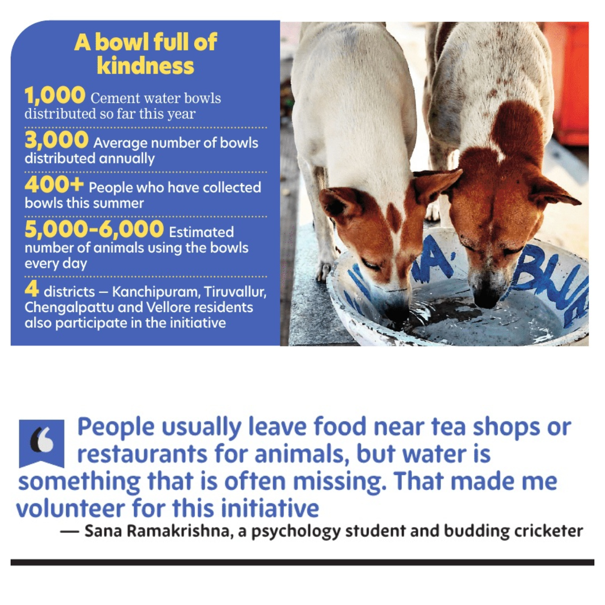 ChennaiTimesTOI's tweet photo. As we chill indoors with our iced drinks, let’s not forget our furry and feathered friends braving the summer heat! 🌞🐾 This is what brings hundreds of Chennaiites to the #BlueCross of India campus every summer.

Read more: https://t.co/1VSPUYTwZH https://t.co/aRfydRbHjH