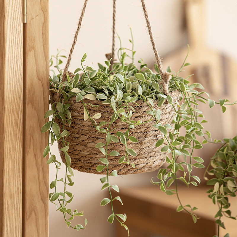 booda216Zzz's tweet photo. Just made a custom woven plant hanger with scrap macrame cord! No fancy tools needed—perfect way to upcycle old materials. #DIYCraft #UpcycleProject， https://t.co/aCOsS9qYSk
