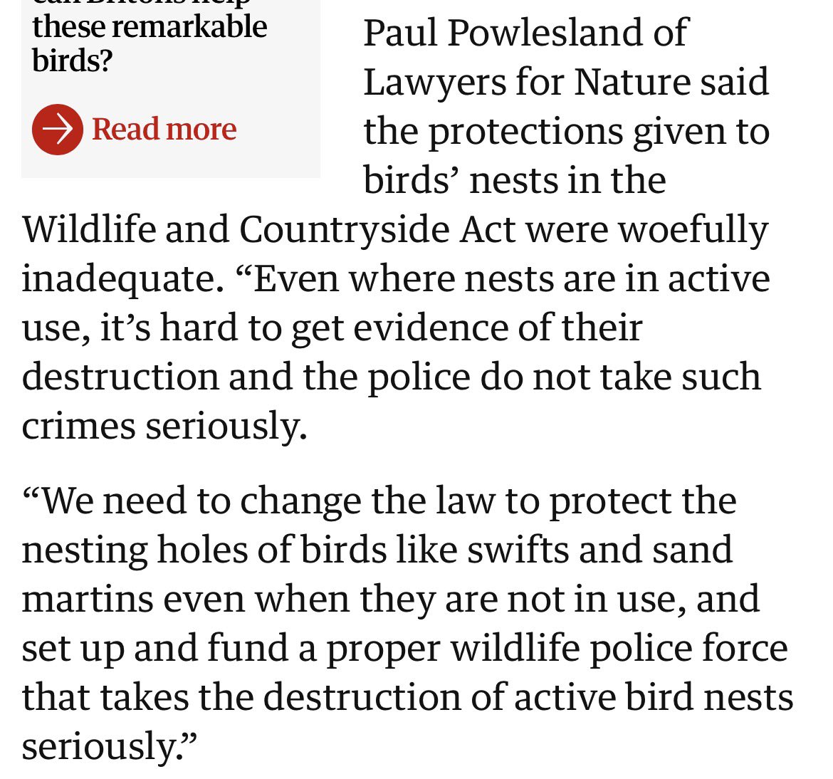 paulpowlesland's tweet photo. The current protections given to bird nests in the Wildlife & Countryside Act are woefully inadequate & this story by @sandralaville is yet another reason as to why.

The law currently only protect the nests of most birds whilst those nests are in use, so nesting holes used by generations of birds like swifts can be legally destroyed outside nesting season. Even where nests are in active use, it’s hard to get evidence of their destruction & the police do not take such crimes seriously.

We need to change the law to protect the ancestral nesting hole sites of birds like swifts and sand martins when they are not in use & give serious thought to protecting the ancestral nesting habitat of birds like nightingales as well. We also need to set up & fund a proper wildlife police force that takes the destruction of active bird nests seriously.