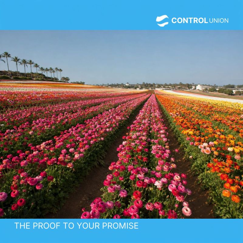 ControlunionKE's tweet photo. As the floriculture industry continues to evolve, sustainability has become a measurable commitment. 
At CU, we support flower &amp; ornamentals producers in demonstrating responsible farming practices through the GLOBALG.A.P. Impact-Driven Approach to Sustainability (IDA) add-on. https://t.co/PxYlVYBtRl