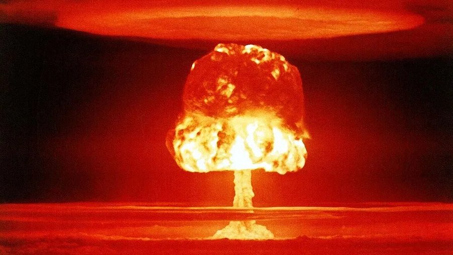 GrauButch's tweet photo. @Microinteracti1 wieviele Vögel tot bei Tschernobyl (1986) und Fukushima (2011)? https://t.co/vPPeJD8fWB