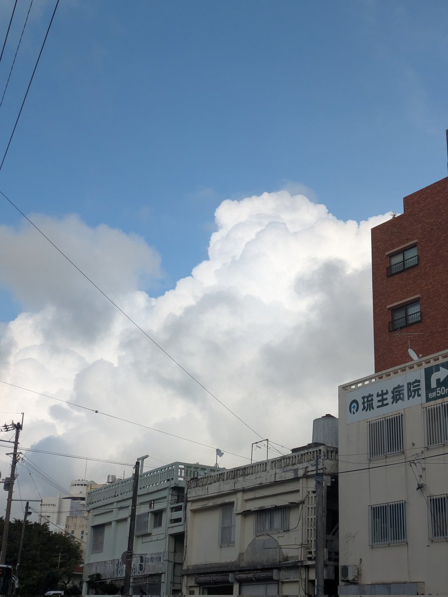 jumppion's tweet photo. ちょっと夏。
なんか…さっきセミないてた気がするんだけど https://t.co/6qjAGyYG0F