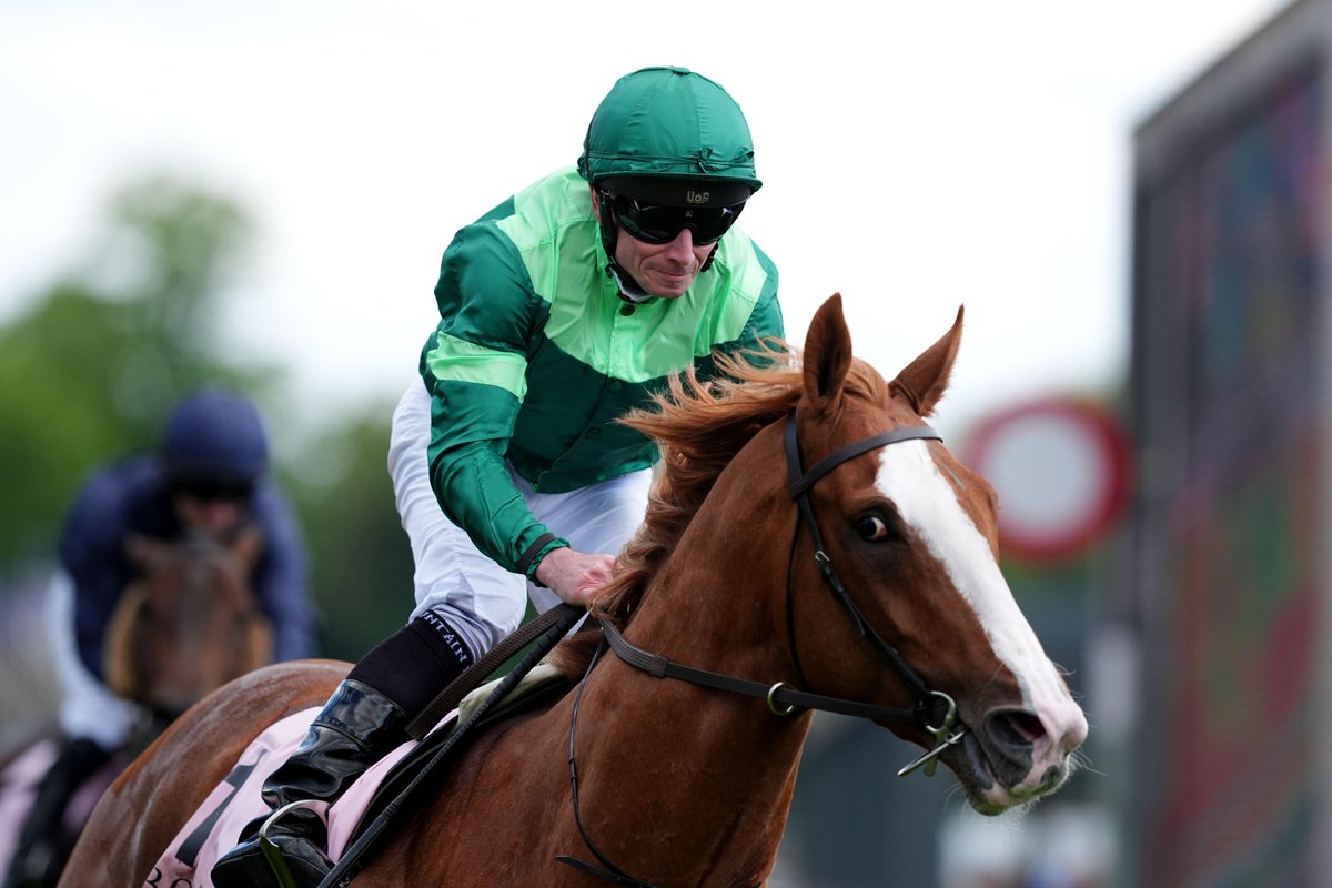 SportingLife's tweet photo. 14 declared for the Derby at @EpsomRacecourse on Saturday!

🏇 A Taste of Glory
🏇 Action
🏇 Alderman
🏇 Ancient Egypt
🏇 Balzac
🏇 Bay of Brilliance
🏇 Benvenuto Cellini
🏇 Christmas Day
🏇 Item
🏇 James J Braddock
🏇 Maltese Cross
🏇 Pierre Bonnard
🏇 Poker
🏇 Rebel Rocker https://t.co/7w5Zlv0MCo