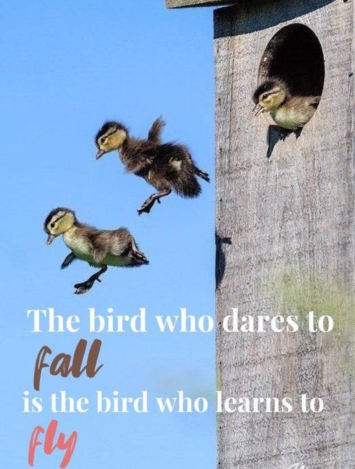 MQUOTESLIFE's tweet photo. https://t.co/YxQUAndkKQ