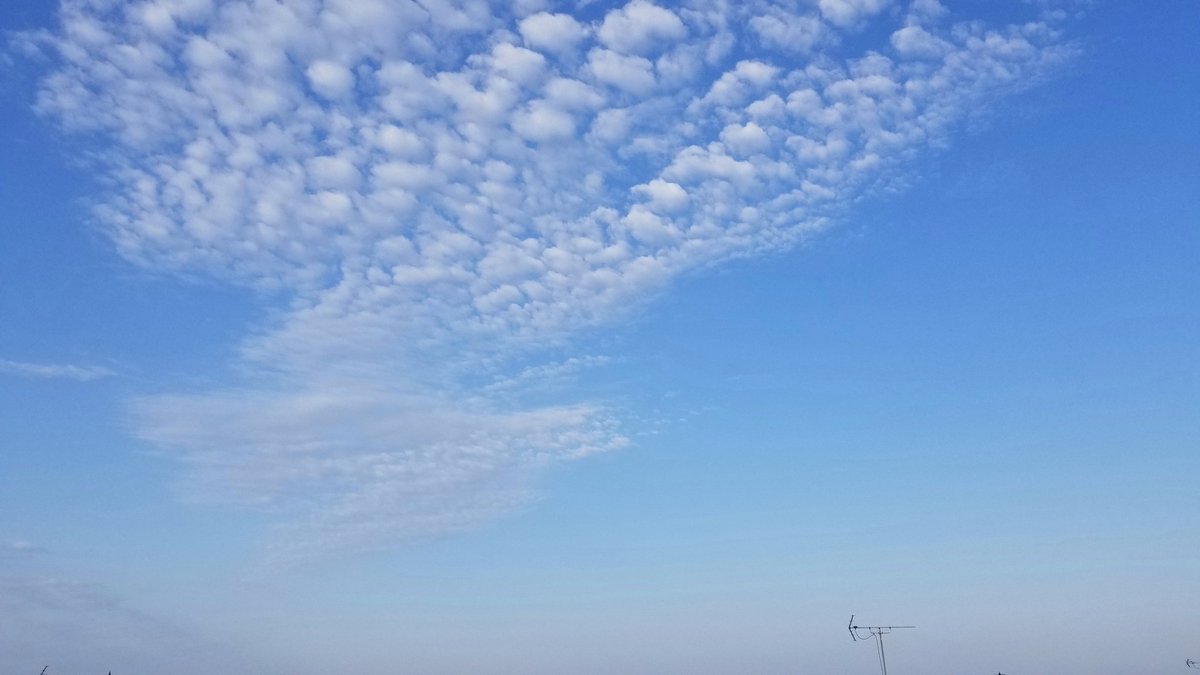 ebinamasutoshi's tweet photo. 練習練習。
休憩がてら外出たら鹿とでくわす。
黙って見つめあうこと5分程。
食事の邪魔しちゃったね。
車に気をつけるんよ。

涼しい風が吹いてる。 https://t.co/NoO3YuQgsB