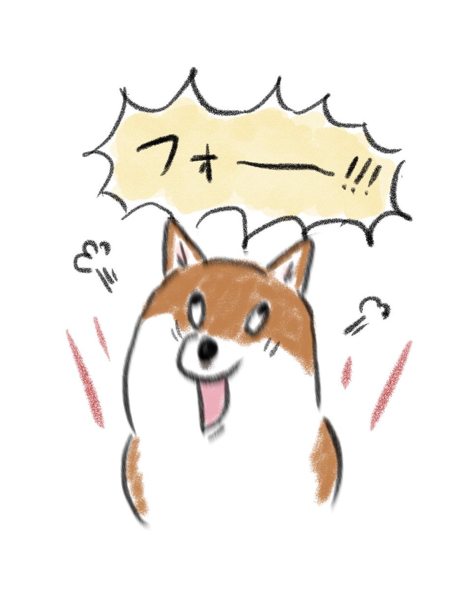 shimashimalog's tweet photo. ハチワレがはしゃいでると
ブチ上がるいなり寿司さん https://t.co/0UuiCGtJjl