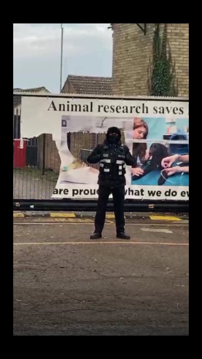 hellsbellsus's tweet photo. @JudgeJeanine @BDRRescue Please come and visit 24:7 5 year old Camp Beagle, Huntingdon, UK outside American owned MBR Acres. ❤️ https://t.co/PTZ6nSWHk4