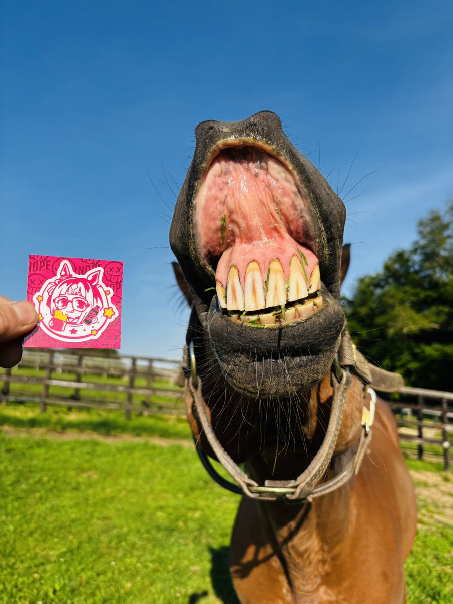 akai_nagagutsu's tweet photo. こうなるともうトランセンドかどうかもわからないのでボツになった写真一応載せておきます📸

別の生物にすら見えなくもないﾑｨｰ😬

#トランセンド
#ウマ娘 https://t.co/zxixykFkpb
