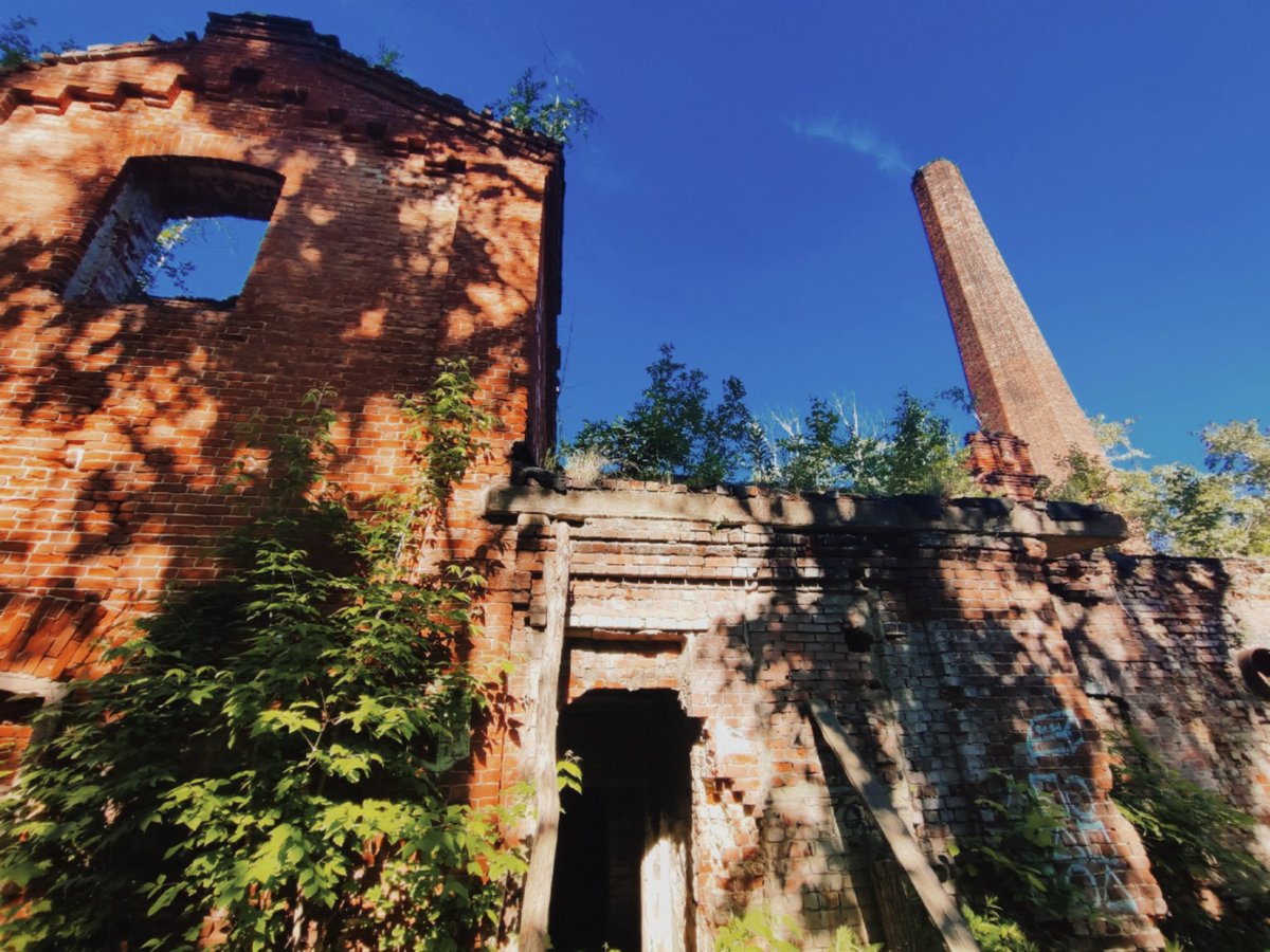 falsevalues's tweet photo. идти к ним по стройкам, грязи, мимо собак и заборов, а где-то и прямо через заросли, но стоило того https://t.co/lZlPhcoytS