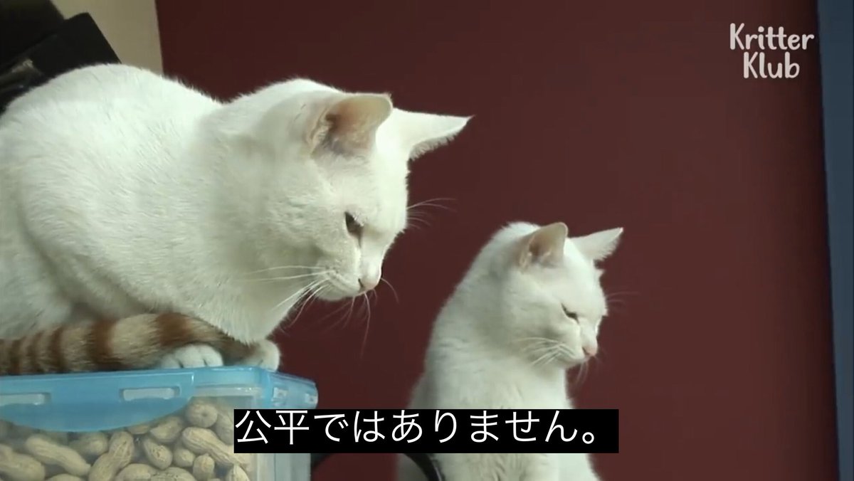 サニーさん tweet media