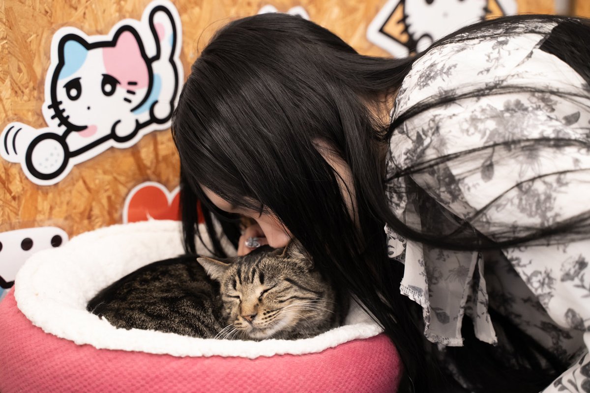 964ba3's tweet photo. 実は🐈吸って充電してます
足りてる？

model：ゆまるちゃん 
@nnn_ttt44 https://t.co/26TRxZxuO6