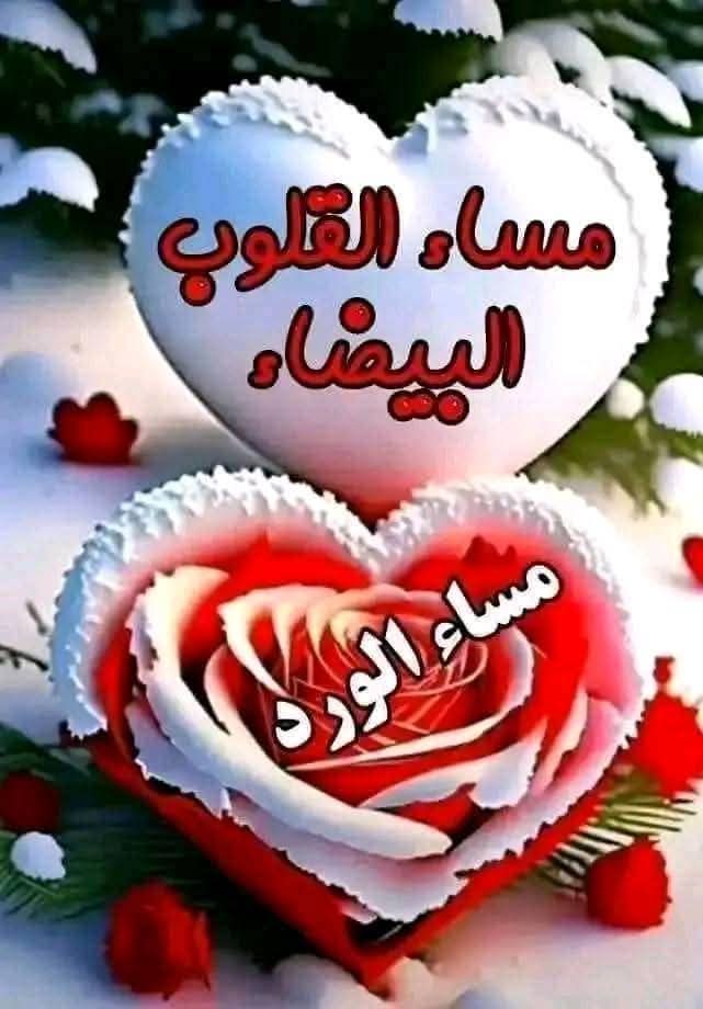 jwj1315's tweet photo. مساء الخير
               لمن ڪان حضورهم
      ڪشذى الياسمين يعطر قلوبنا
الذين إذا حلوا حل معهم الأمل والتفاؤل
       لڪل من أحبهم القلب وأعزهم 
                مساڪم ورد https://t.co/aClivLnzl2