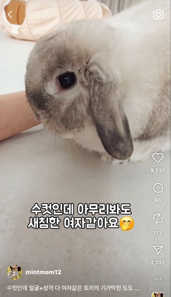 kangnozo's tweet photo. 미니버라 그냥 이렇게 진행됨 https://t.co/xCOfS4WRzD