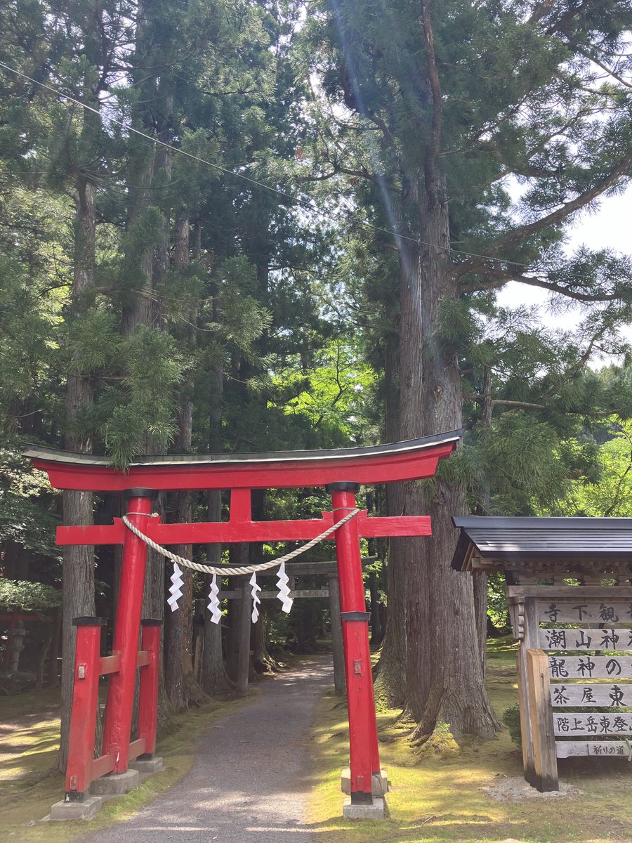 tetorahonpati's tweet photo. 青森県階上町にある「寺下観音」へ行きました！⛩️
真っ赤な鳥居の奥には苔むした石や地面。清流が流れ、立派な巨木が道を作っていて神聖なパワーを感じられる場所でしたー✨
オススメです♪が、熊🐻にはお気をつけくださいね！
#階上町　#観音堂　#パワースポット　#巡礼　#鳥居　#ホテルテトラ本八戸 https://t.co/DgnwVa1Uae
