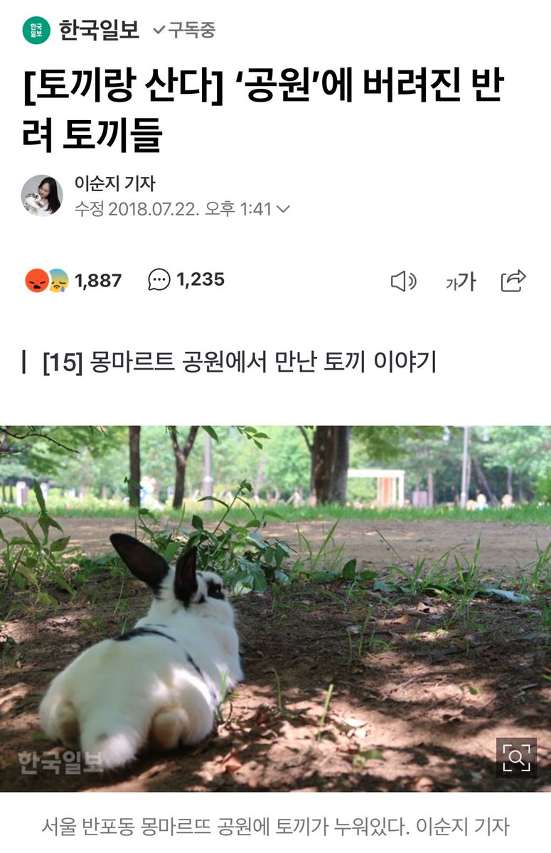 0629lan's tweet photo. 제발 토끼 좀 버리지마
공원에 무리지어 사는 토끼?
길가에 있는 토끼?

다 사람이 버리고 간 유기토끼임
토끼도 고양이 강아지만큼 키우기 어려운데
마트나 펫샵에서 덜컹 두마리씩 사오고 버리고..

토끼도 고양이처럼 영역동물이라
공원에 버리면 영역싸움해서
귀 찢지고 다쳐요 제발 키우지마 https://t.co/wcRutRP4yg