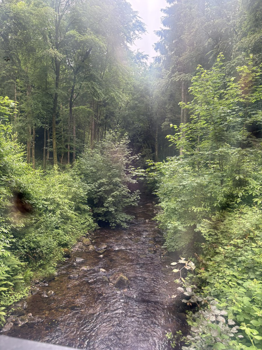 evatattoos's tweet photo. kinnity castle stay in the Irish countryside, a cat sìth guided me through the forest https://t.co/nUwtZedjLm