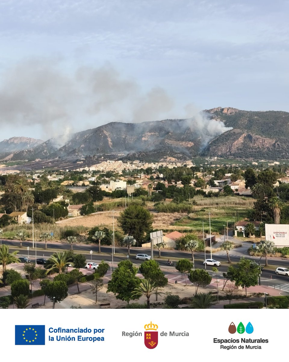 ElVallePR's tweet photo. Tras el #Incendio ocurrido ayer en #LosGarres #ElVallePR se recomienda evitar las visitas a la #CrestaDelGallo

Esta medida de #Precaución ayuda a facilitar el trabajo de los equipos que siguen actuando sobre el terreno y evita riesgos innecesarios 👩‍🚒 🚁

#PrevenciónAlVisitante https://t.co/9tuFFjYaV7