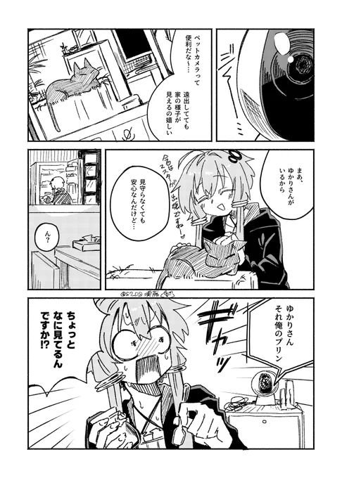 ラクガキ
ゆかりさんとペットカメラ 