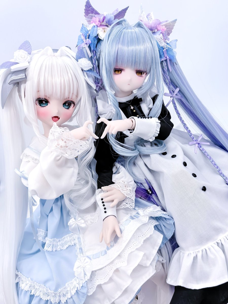 kukokuko_99's tweet photo. #めろっ娘  #ぐるっ子 
#うちのこかわいい https://t.co/fIWN6jiAcK