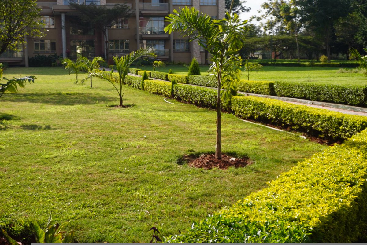 BotaniqueDng's tweet photo. Let’s work on your garden https://t.co/LMpTo7EmQ4