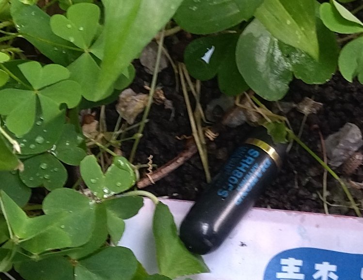 JH1EAF's tweet photo. 昨晩、VX-3のアンテナがないことに気付く。鞄、ポケットの中等、目星がつく場所を探すが出てこない。残る可能性は3日前に移動運用した公園。
台風の中、移動場所に戻ってベンチ脇草むらを探ると発見。時間と電車賃浪費したが重宝していたアンテナだったので良しとする。 https://t.co/9qIcdBes8F